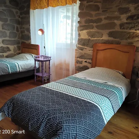 Sejour Rustique Proche Des Estables Et Du Puy-en-velay - Fr-1-582-533 Holiday home